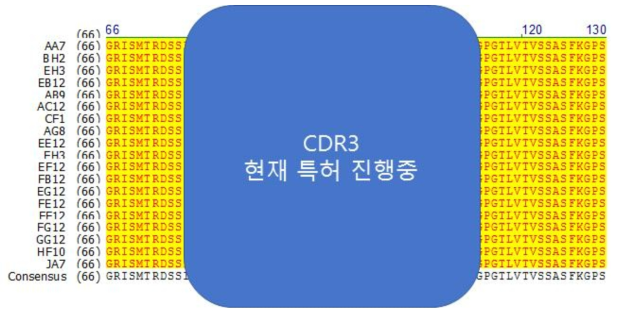 18종의 항 ETA 항체 아미노산 서열에 대한 alignment. Consensus positions