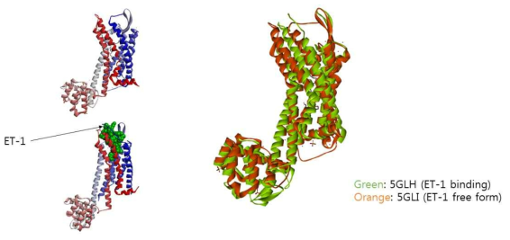 Lysozyme fusion mutants를 활용한 ETB의 crystal structure