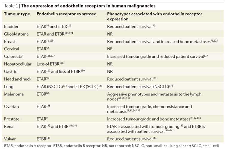 다양한 암에서 엔도테린 수용체의 임상학적 역할