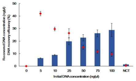 초기 cDNA 농도에 따른 변형 Swab의 추출된 DNA 양과 추출효율. 막대: Recovered DNA concentration(ng/uL), 점: DNA recovery efficiency(%)