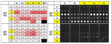 Adenovirus 단일 Capture, Detection 항체 조건 테스트