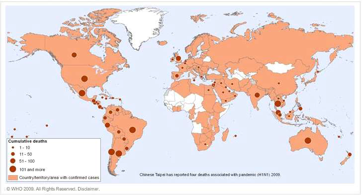 호흡기감염바이러스 인플루엔자 대유행에 따른 사망 (출처: WHO 출처자료,2009년)