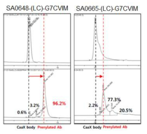 DLK1-(LC)-G7CVIM 항체의 prenylation 반응성 확인