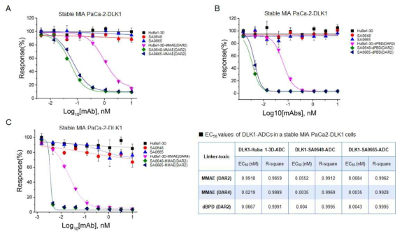 DLK1-ADC의 in vitro cytotoxicity 효능 확인