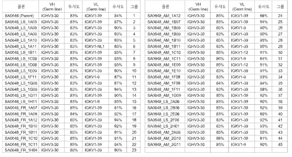 DLK1-SA0648 인간항체 변이체의 단일 클론 특성