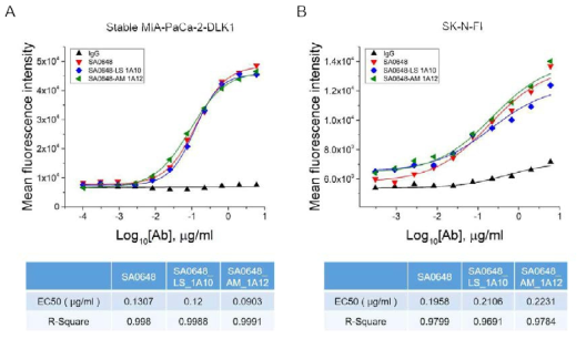 선별된 DLK1-SA0648 인간항체 변이체 2종의 세포 결합능 확인