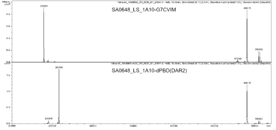 DLK1-SA0648_LS_1A10-dPBD(DAR2)의 중쇄와 경쇄의 mass 분석