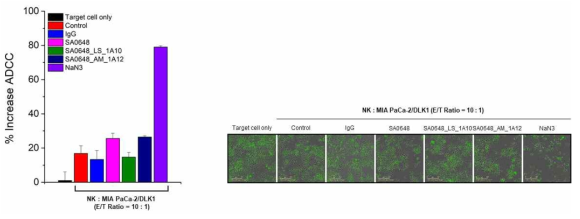 DLK1-SA0648 항체 및 변이체 SA0648_LS_1A10, SA0648_AM_1A12의 ADCC 효과 확인