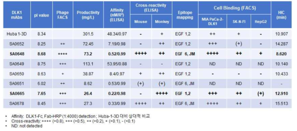 DLK1 항체 특성 분석