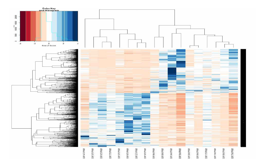 레고라페닙 환자의 N/T whole transcriptome sequencing 분석결과