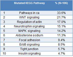 Frequently mutated pathway