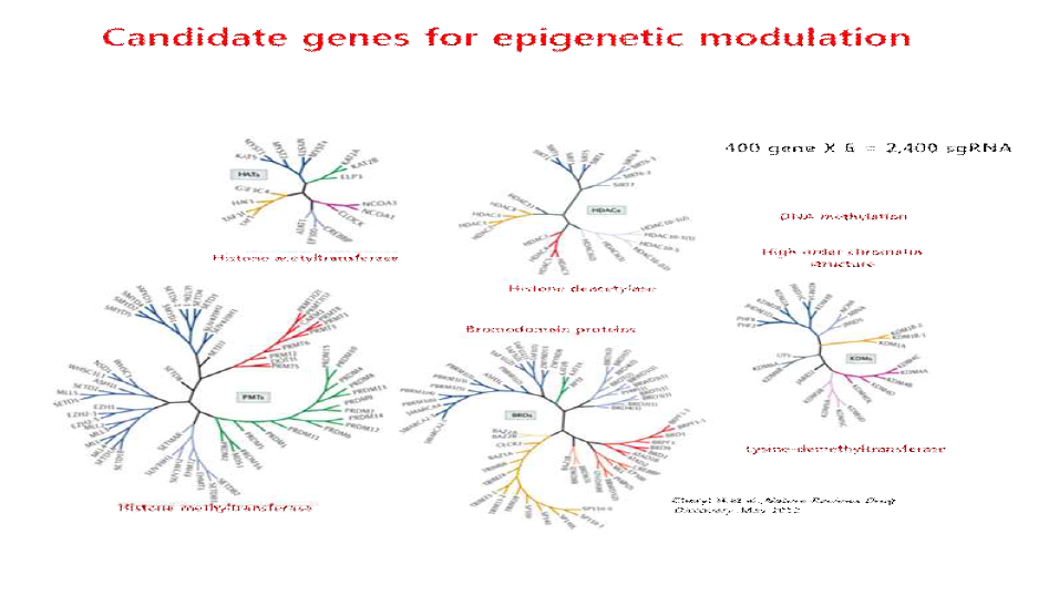 제작에 사용된 400여개의 epigenetic candidate 유전자군 list