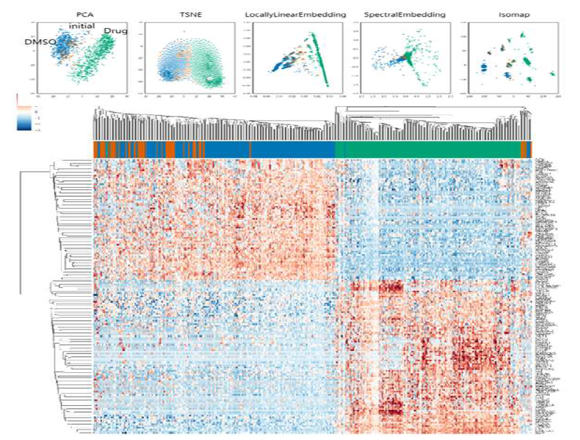 SNV 변이 – 항암제 저항성 상관관계 분석을 위한 다양한 Clustering 방법