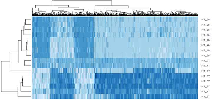 Target capture panel을 사용하여 얻은 9명 환자의 Normal과 Tumor 조직의 DNA methylation 양상의 unsupervised clustering 결과