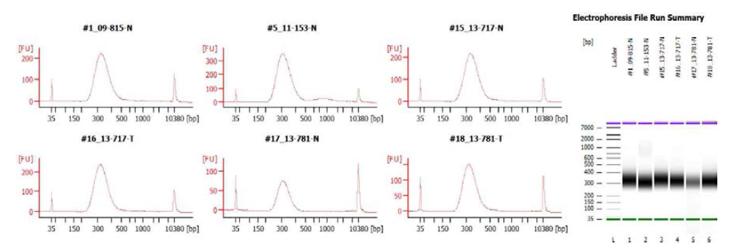 실제 수행한 대장암 환자 샘플에 대한 라이브러리 제작 최종 QC 확인 예
