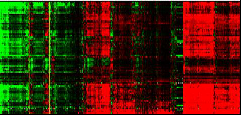 실제 수행한 대장암 환자 샘플에 대한 clustering analysis