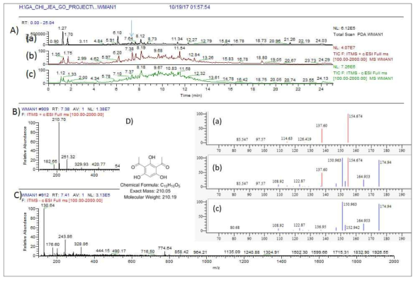WMAN1 균주 배양액 추출물의 LC/MS 분석 결과. A) PDA spectrum (a) 및 positive (b) 와 negative (c) total mass spectrum, B) RT 7.3 분 peak의 positive mass 결과 diacetylphloroglucinol와 유사한 m/z 210.7 [M+H]+ 이 확인, C) 동일한 RT peak의 negative mass peak 들, D) diacetylphloroglucinol 구조 및 분자량. a) mass 7.3 min peak의 MS/MS fragment pattern, b) 합쳐진 peaks pattern, c) 표준품 diacetylphloroglucinol의 MS/MS fragment pattern peaks