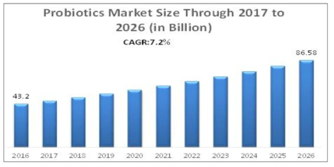 세계 프로바이오틱스 시장 규모 (출처 : Maximize Market Research)