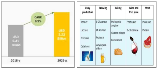 세계 식품효소시장 규모 및 식품산업에 사용되는 효소 (출처: https://www.slideshare.net/shweta1095/enzymes-in-food-industry)