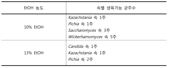 효모균주의 내알콜성 조사 결과