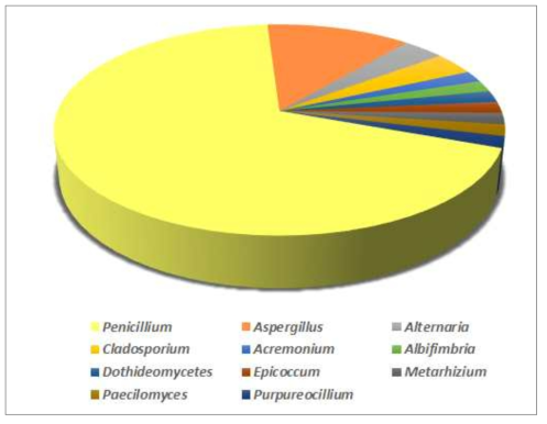 LC/MS 분석용 곰팡이의 속별 분포도