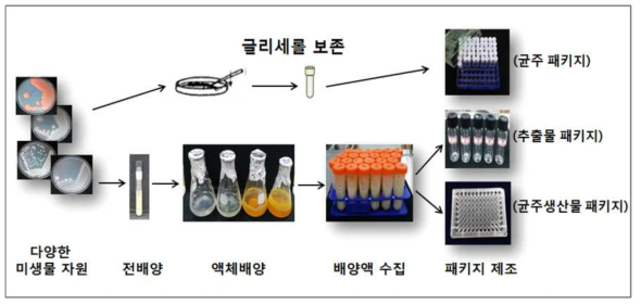 미생물 자원의 균주, 균주생산물, 추출물 패키지 제조 과정