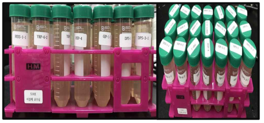 세균자원의 배양체 제조 결과