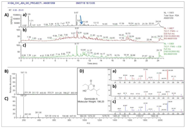 AN081059 균주 배양액 추출물의 LC/MS 분석 결과. A) PDA(a) 및 positive (b) 와 negative (c) total mass spectrum, B) RT 10.8 분 peak의 positive mass 결과 germicidin A와 동일한 m/z 197.13 [M+H]+이 확인, C) RT 10.8분 peak의 negative에서 195.27 [M-H]- 확인, D) germicidin A 구조 및 분자량. a) mass 10.8 min peak 의 MS/MS fragment pattern, b) 합쳐진 peaks pattern, c) 표준품 germicidin A 의 MS/MS fragment pattern peaks