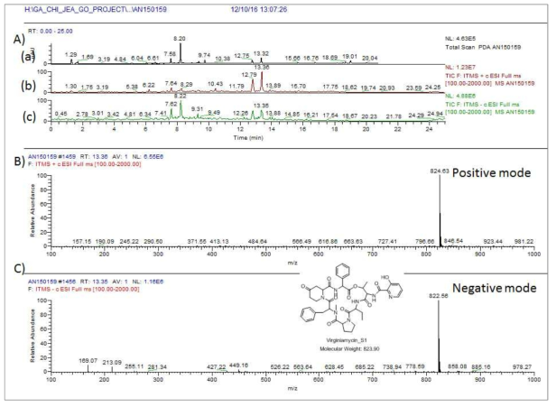 AN150159 균주 배양액 추출물의 LC/MS 분석 결과. A) PDA(a) 및 positive (b) 와 negative (c) total mass spectrum, B) RT 13.3 분 peak에서 확인된 824.6 [M+H]+, C) 같은 RT peak의 negative mode peak m/z 822.5 [M-H]-