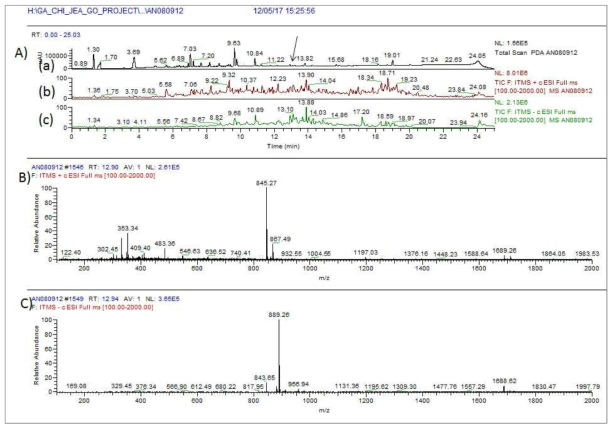 AN080912 균주 배양액 추출물의 LC/MS 분석 결과. A) PDA(a) 및 positive (b) 와 negative (c) total mass spectrum, B) RT 12.9 분 peak의 positive mass 결과 tunicamycin와 동일한 m/z 845.27 [M+H]+ C) negative에서 843.65 [M-H]- 와 889.26 [M+HCOOH]- 확인