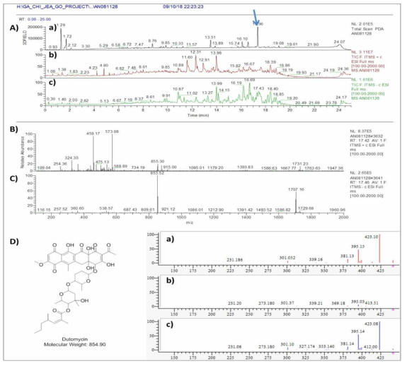 AN081128 균주 배양액 추출물의 LC/MS 분석 결과. A) PDA(a) 및 positive (b) 와 negative (c) total mass spectrum, B) RT 17.4 분 peak의 positive mass 결과 dutomycin와 동일한 m/z 855.3 [M+H]+ 이 확인, C) RT 17.4 분 peak의 negative mass 결과 dutomycin와 동일한 m/z 853.5 [M-H]- 이 확인, D) Dutomycin 구조 및 분자량. a) mass 17.4 min peak 의 MS/MS fragment pattern, b) 합쳐진 peaks pattern, c) 표준품 dutomycin 의 MS/MS fragment pattern peaks