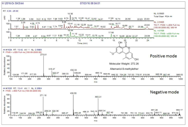 14-65-f2 균주 배양액 추출물의 LC/MS 분석 결과. Alternariol-9-methyl ether 과 동일한 positive mass에서 m/z 273.0 [M+H]+, negative mass 271.1 [M-H]- 이 확인