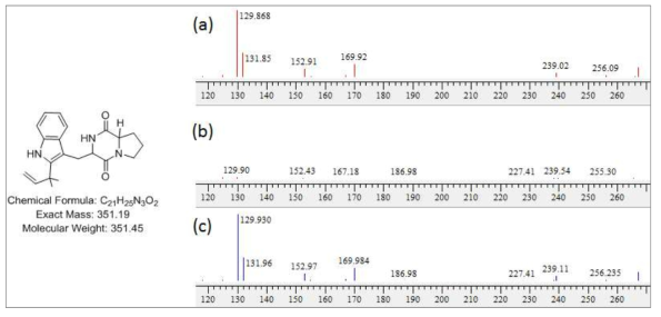 14_11_F5 균주 배양액 추출물에서 확인한 deoxybrevianamide E 구조 및 분자량. a) mass 12.9 min peak 의 MS/MS fragment pattern, b) 합쳐진 peaks pattern, c) 표준품 deoxybrevianamide E의 MS/MS fragment pattern peak들