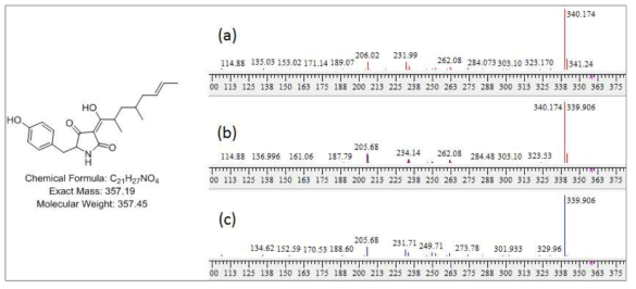 14_80_F3_3 균주 배양액 추출물에서 확인한 tolypocladenol C 구조 및 분자량. a) mass 12.9 min peak 의 MS/MS fragment pattern, b) 합쳐진 peaks pattern, c) 표준품 tolypocladenol C의 MS/MS fragment pattern peaks