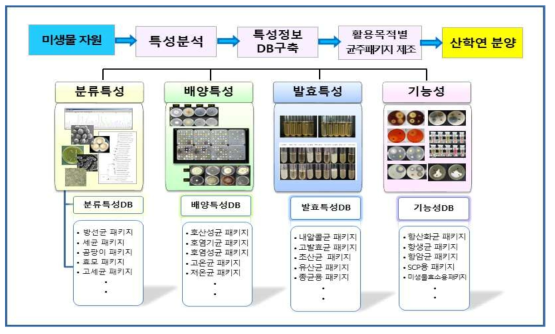 특성분석 기반 미생물자원 가치제고 프로세스