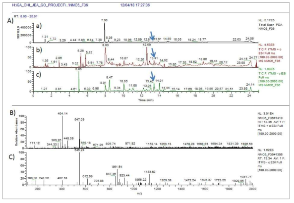 NMC6-F36 균주 배양액 추출물의 LC/MS 분석 결과. A) PDA(a) 및 positive (b) 와 negative (c) total mass spectrum, B) RT 13.4 분 peak의 positive mass 결과 ochratoxin A 과 동일한 m/z 404.14 [M+H]+이 확인, C) 동일한 RT peak의 negative mass 402.1 [M-H]-이 확인