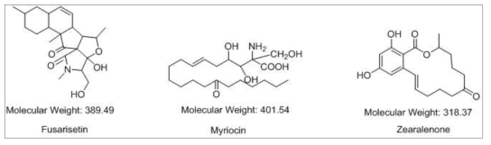 14-5-f11, 14-257-f2, 그리고 14-10-f10 균주 배양액 추출물의 LC/MS 분석 결과 확인된 화합물들