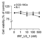 CCD-18Co 세포와 R-1 세포주에서 tRF_U3_1에 대한 MTS assay 결과