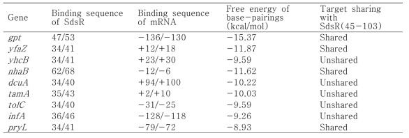RyeB(SdsR) 34-68 nt가 결합할 수 있는 유전자 추정