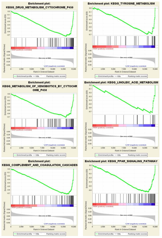 TLR에 따른 Gene Set Enrichment Analysis 결과, 낮은 FDG 섭취(TLR<1.5)를 보이는 간세포암에서 발현이 증가된 유전자 집합 (FDR q-val <0.005)