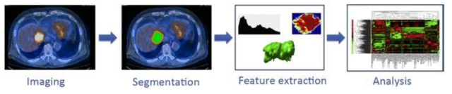 PET/CT 영상의 영상 표현형 분석 과정