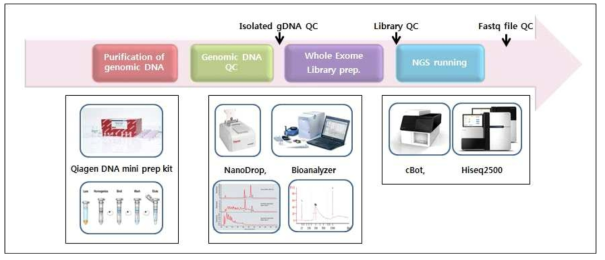 NGS 실험을 위한 sample prep., QC 및 NGS running 도식