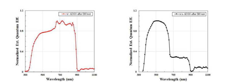 (좌)Al2O3 배리어 박막이 있는 경우, (우) Al2O3 배리어 박막이 없는 경우 제작된 서브모듈의 External Quantum Efficiency (EQE) 결과