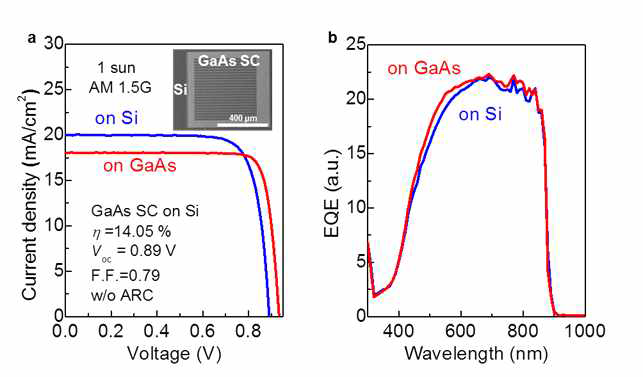 (좌) GaAs on Si 태양전지와 reference 태양전지의 current density-voltage 곡선, (우) 파장별 external quantum efficiency