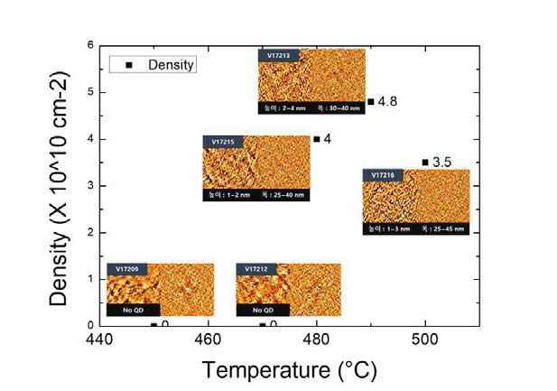 온도에 따른 P-Si 4° off 기판 위 AlAs QD density와 AFM 데이터