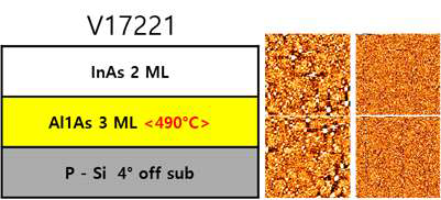 AlAs/P-Si 4° off 위 InAs 성장 구조와 AFM 데이터