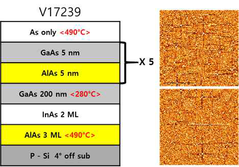 저온 SPS 성장 및 고온 열처리 한 구조 및 AFM 데이터