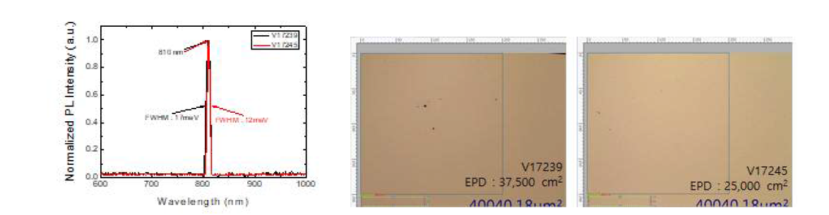 (좌) SPS 횟수에 따른 PL 그래프와 FWHM 데이터 (우) 성장된 샘플의 EPD 측정 Optical Microscopy 이미지