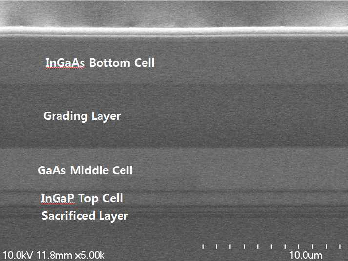 삼중접합 셀의 에피 단면에 대한 SEM 사진