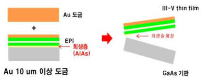 Au supporter를 이용한 III-V thin film 에피 분리 방법